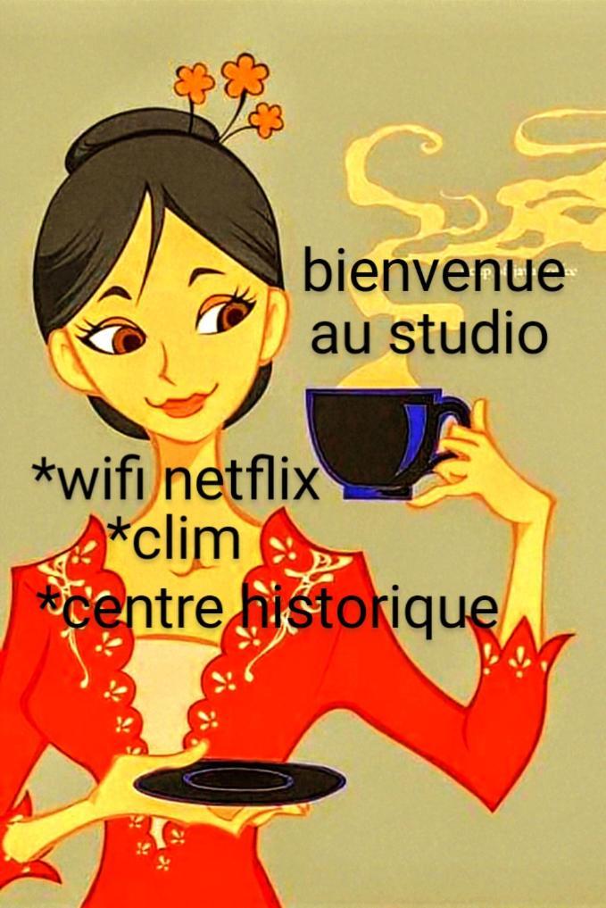 Cocon Centre Historique Apartment Bergerac